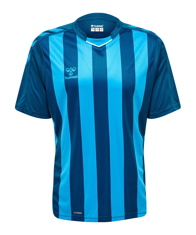 Hummel hmlCORE XK Striped Trikot Blau F7096 - blau
