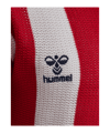 hummel DBU Dänemark Fan Knit Hemd 2026 Weiß F9160 - weiss
