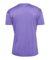 Hummel AUTHENTIC PL Trikot Grau F3766 - grau