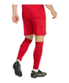 adidas Entrada 26 Short Rot - rot