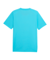 PUMA teamLIGA26 Schiedsrichtertrikot Blau F30 - blau