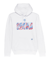 Nike NZSx11TS Slowenien Hoody EM 2024 Weiss F100 - weiss