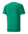 PUMA teamLIGA Striped Trikot Grün Schwarz F05 - gruen