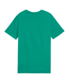 PUMA teamGOAL Casuals T-Shirt Kids Grün Weiss F05 - gruen