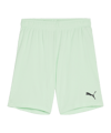 PUMA teamGOAL Short Kids Grün Schwarz F60