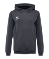 Hummel AUTHENTIC PL Hoody Kids Grau F1525