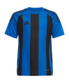 adidas Striped 24 Trikot Kids Blau Schwarz
