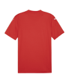 PUMA teamGLORY Trikot Rot Weiss Rot F01 - rot