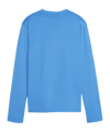 PUMA teamGOAL Training Sweatshirt Damen Blau F02 - hellblau