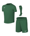 Nike Park VIII Trikot Set Kids Grün F302