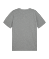 PUMA teamGOAL Casuals T-Shirt Grau F33