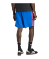 adidas Originals Firebird Short Blau - blau