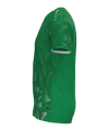 JAKO Sonic Trikot Kids Grün F261 - gruen