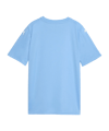 PUMA teamFINAL Graphic Trikot Kids Blau F18 - blau