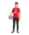 adidas FC Liverpool Pre Match Trikot 2026/2027 Kids Rot - rot