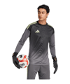 adidas Tiro 25 Competition Torwarttrikot Grau - grau