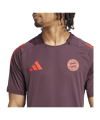 adidas FC Bayern München Trainingsshirt Rot - rot