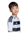 adidas Hooped 26 Trikot Kids Grau - grau