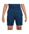 Nike Academy Trainingshort Blau F457