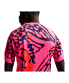 Nike NFF Nigeria Torwarttrikot WM 2026 Rosa F645 - rosa
