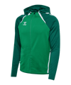 Hummel Kapuzenjacke Grün F6327 - gruen