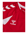 hummel Core 2.0 Trikot Langarm Kids Rot F3946 - rot
