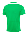 Nike Academy Pro 24 Poloshirt Grün F329 - gruen