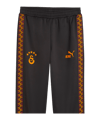 PUMA Galatasaray Istanbul KING Anthem Hose Grau F19 - grau