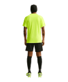 Nike Park VIII Trikot Grün F702