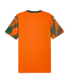PUMA teamFINAL Graphic Trikot Orange F37 - orange