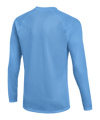Nike Park VIII Trikot langarm Blau F412