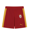 PUMA Galatasaray Istanbul T7 Short Rot F80 - rot