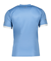 PUMA Uruguay Trikot Home WM 2022 Blau F01 - blau