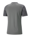 PUMA teamCUP Trainingsshirt Grau F13 - grau