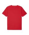 PUMA TeamFINAL 26 Trikot Rot F01 - rot