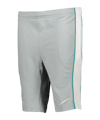 Nike Academy Dri-FIT M18 Short Kids Grau F019