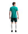 Nike Academy Trainingsshirt Grün F389 - gruen