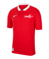 Nike TFF Polo EC 2024 Rot - rot