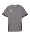 PUMA teamGOAL Matchday Trikot Grau Weiss F13