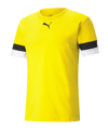 PUMA teamRISE Trikot Gelb F07