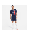 Nike Paris St. Germain Trikot Home 2023/2024 Blau Rot F411 - blau