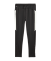 PUMA individual Winterized Trainingshose F03 - schwarz
