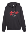 PUMA ÖFB Österreich FtblCulture Hoody Grau F25 - grau