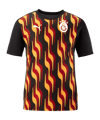 PUMA Galatasaray Istanbul Training T-Shirt Schwarz F010 - schwarz
