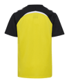 Hummel Trikot Kids Gelb F5800 - gelb