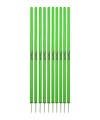 Cawila Slalom L 10Stk d33mm 160cm&13cm Spitze Grün