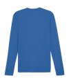 PUMA TeamGOAL Baselayer Longsleeve Blau F02 - blau