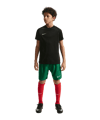Nike Park VIII Trikot Kids Schwarz F010