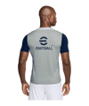 Nike Inter Mailand Strike T-Shirt Grau F093 - grau