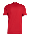adidas FC Liverpool Authentic Trikot Home 2025/2026 Rot - rot